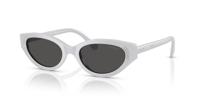 Sonnenbrille Swarovski SK6030 106087 52 19