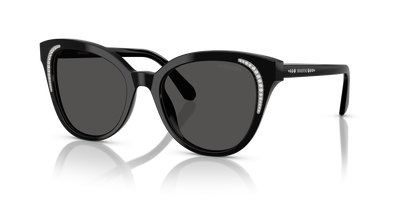 Солнцезащитные очки Swarovski SK6031 100187 53 19