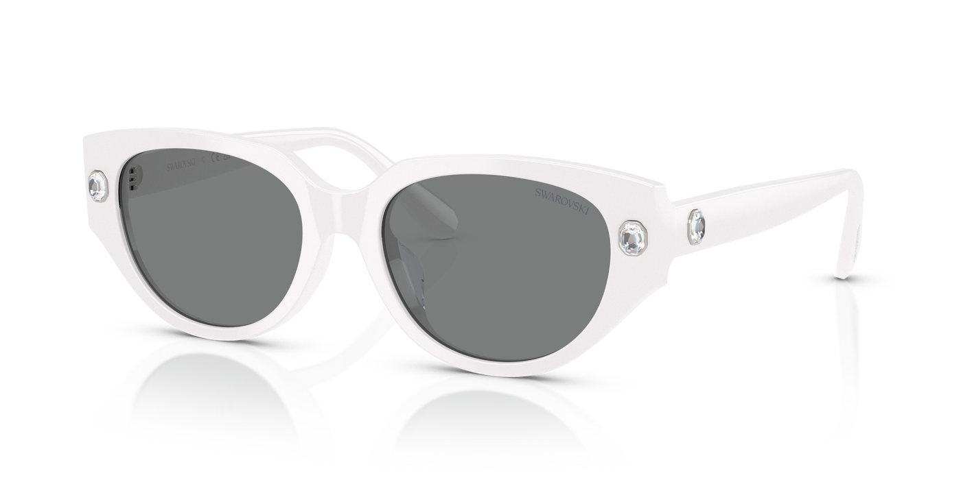 Gafas de Sol Swarovski SK6035D 105087 54 18