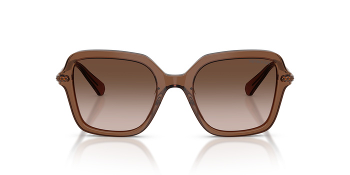 Gafas de Sol Swarovski SK6040 106713 50 20 — vista 2