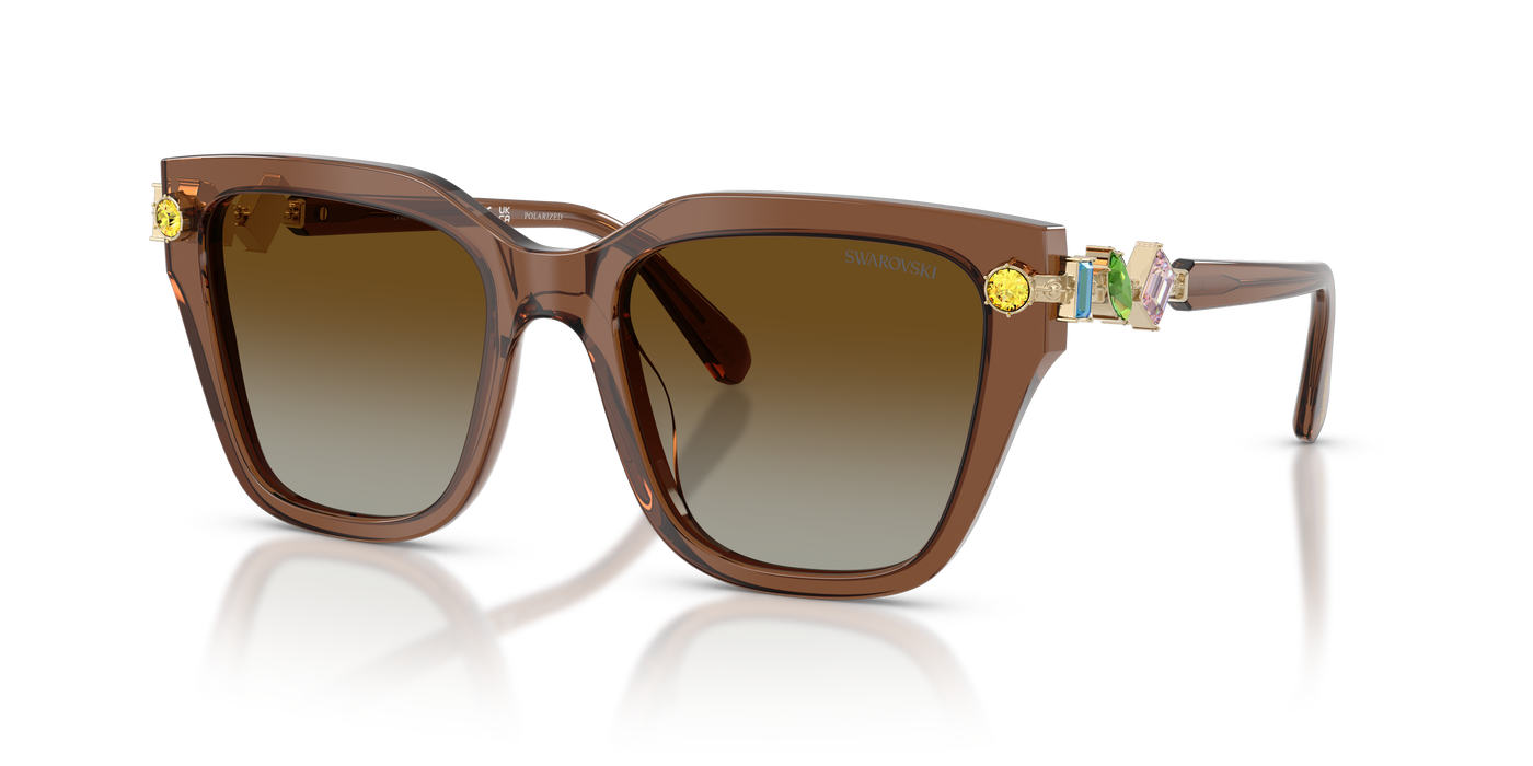 Gafas de Sol Swarovski SK6041 1067T5 53 19