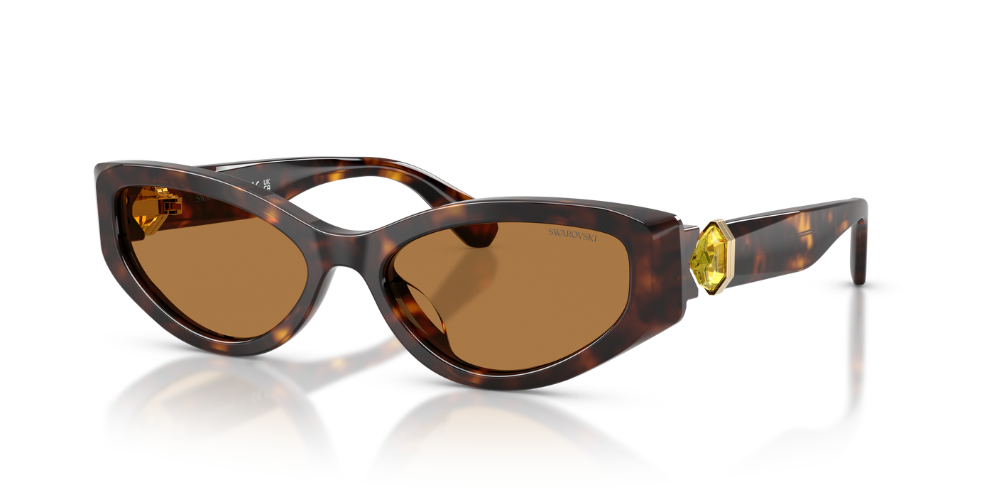 Gafas de Sol Swarovski SK6045U 100273 55 17