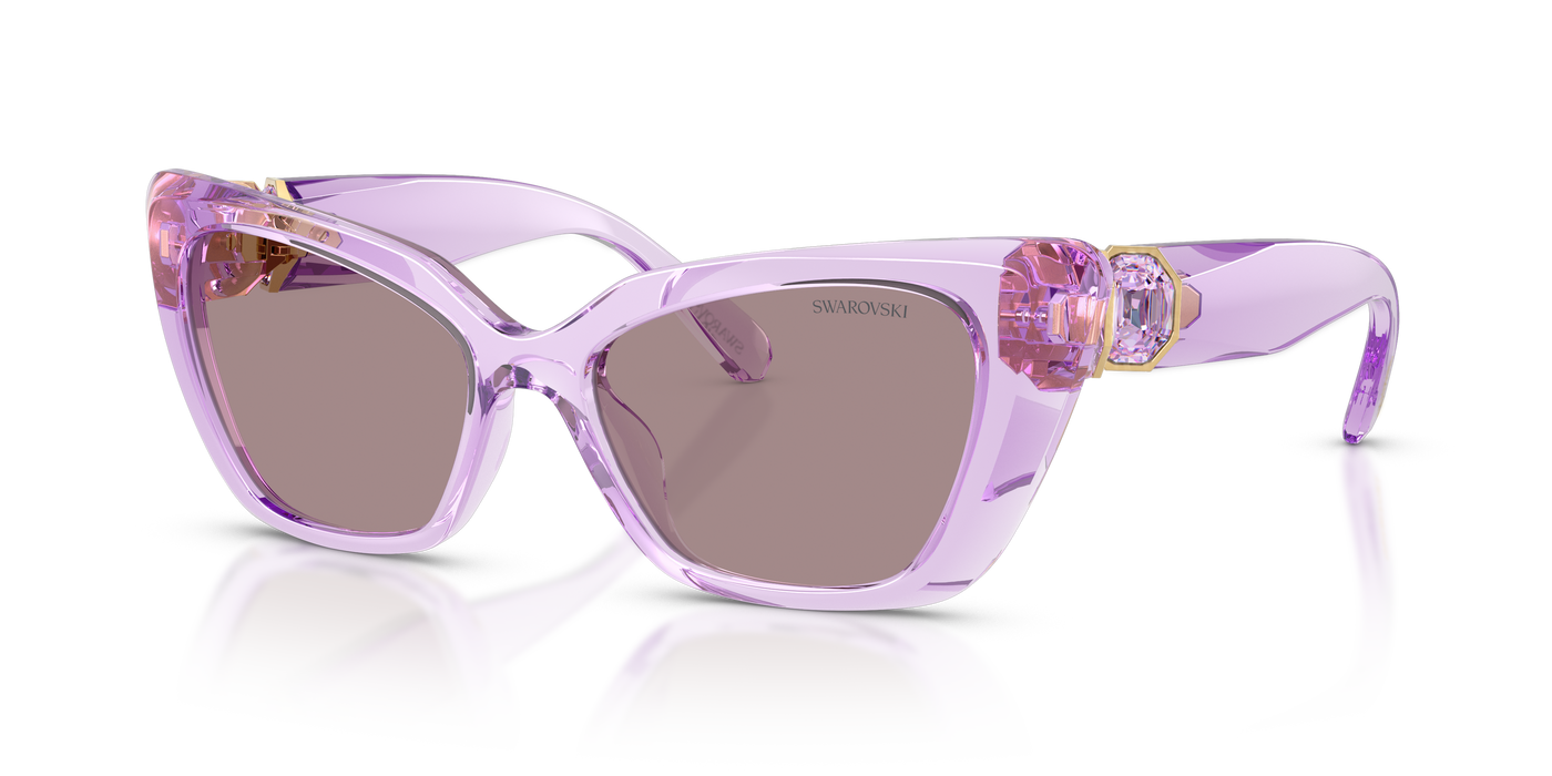 Gafas de Sol Swarovski SK6047 1079LA 54 17