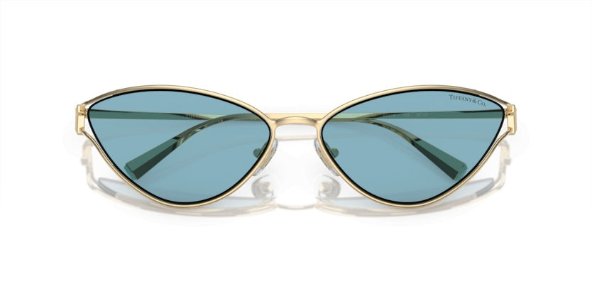 Sunglasses Tiffany&Co TF3095 6196MF 61 16