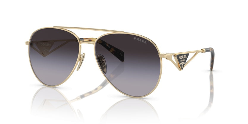 Sonnenbrillen Prada PR 73ZS ZVN5D1 58 14
