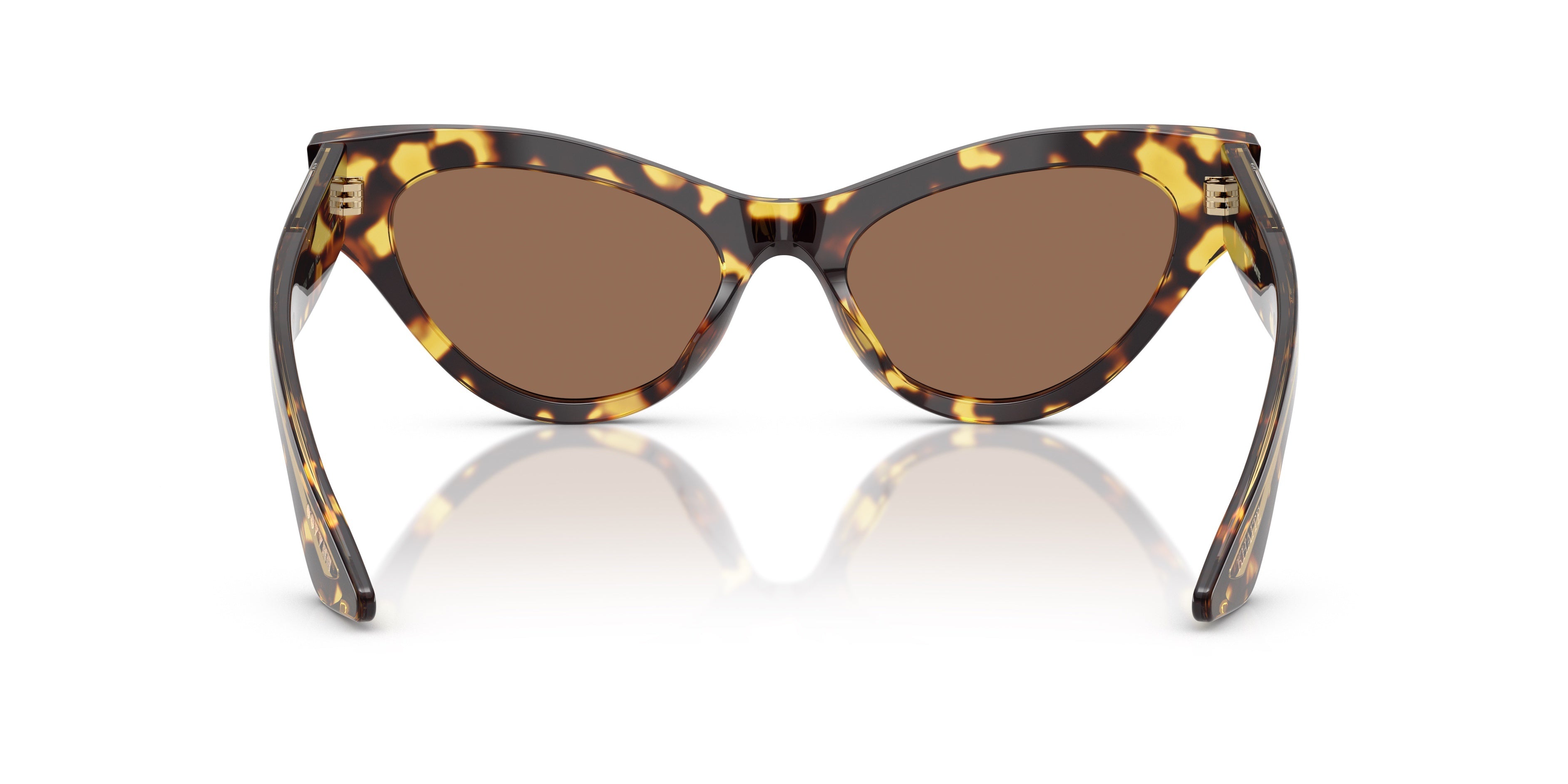 Gafas de Sol Oliver Peoples 1951C OV5573SU 140773 54 19