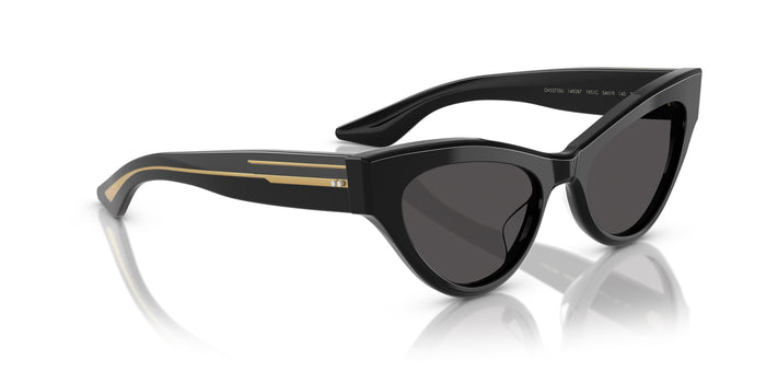 Gafas de Sol Oliver Peoples 1951C OV5573SU 149287 54 19 — vista 4