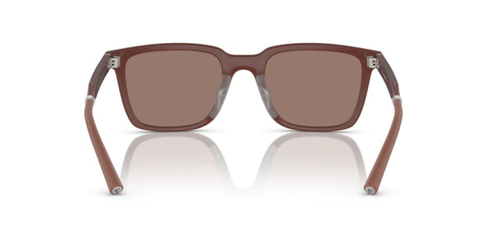 Gafas de Sol Oliver Peoples Mr.Federer OV5553SU 700253 52 20 — vista 5
