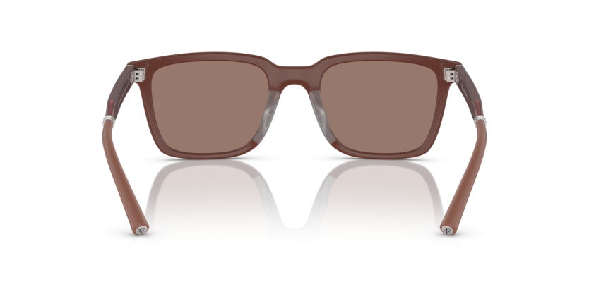 Gafas de Sol Oliver Peoples Mr.Federer OV5553SU 700253 52 20