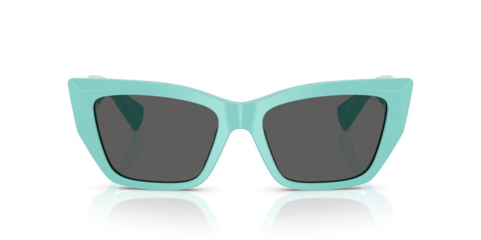 Lunettes de Soleil Tiffany&Co TF4230 8388S4 54 17 — vista 2