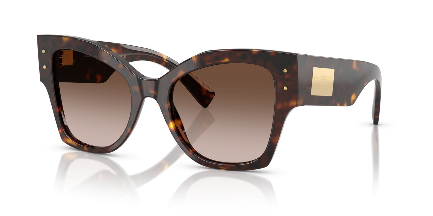 Dolce Gabbana DG4478 502/13 53 20 太阳镜