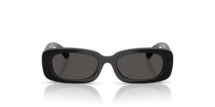 Sonnenbrillen Dolce Gabbana DG6006U 501/87 46 16 — vista 2