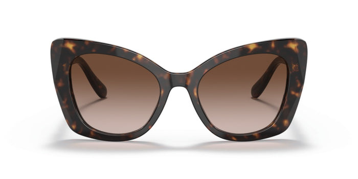 Dolce Gabbana DG4405 502/13 53 20 太阳镜 — vista 7