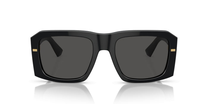 Sunglasses Dolce Gabbana DG4430 501/87 54 20 — vista 2