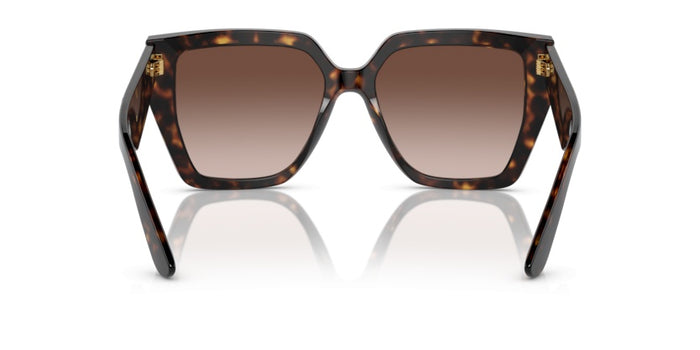 Sonnenbrillen Dolce Gabbana DG4438 502/13 55 17 — vista 4
