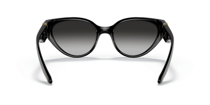 Sonnenbrillen Dolce Gabbana DG6146 501/8G 54 19 — vista 5