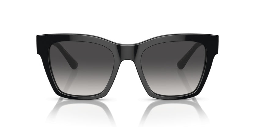 Gafas de Sol Dolce Gabbana DG4384 501/8G 53 20