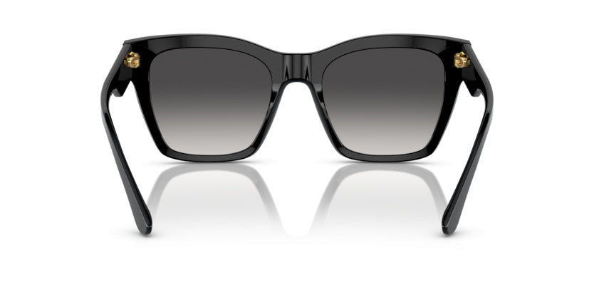 Gafas de Sol Dolce Gabbana DG4384 501/8G 53 20