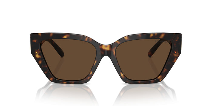Sonnenbrillen Tiffany&Co TF4218 80153G 55 17 — vista 2
