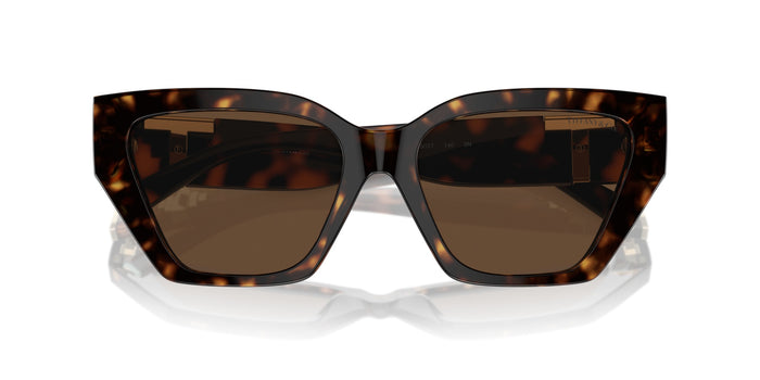 Sonnenbrillen Tiffany&Co TF4218 80153G 55 17 — vista 4