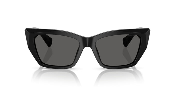 Gafas de Sol Tiffany&Co TF4230 8001S4 54 17 — vista 2