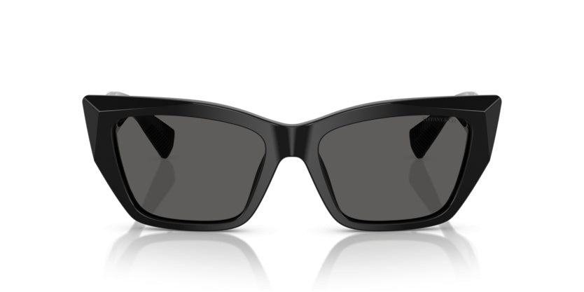 Gafas de Sol Tiffany&Co TF4230 8001S4 54 17