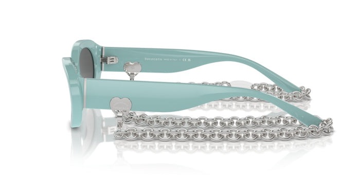 Tiffany&Co TF4221 8388S4 54 17 太阳镜 — vista 3