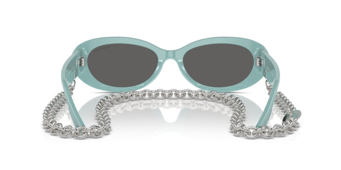 Tiffany&Co TF4221 8388S4 54 17 太阳镜 — vista 4