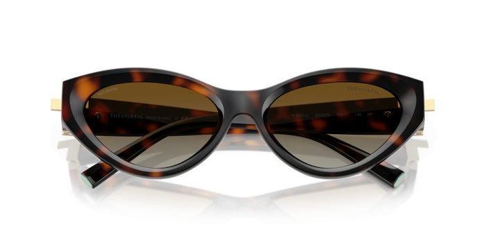 Gafas de Sol Tiffany&Co TF4225U 8015T5 54 17 — vista 4