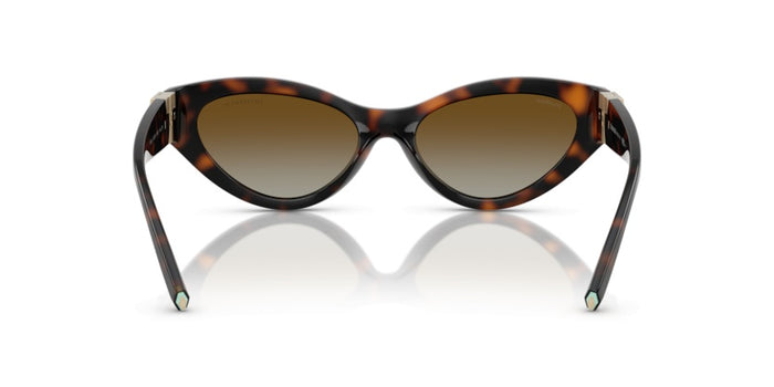 Gafas de Sol Tiffany&Co TF4225U 8015T5 54 17 — vista 5
