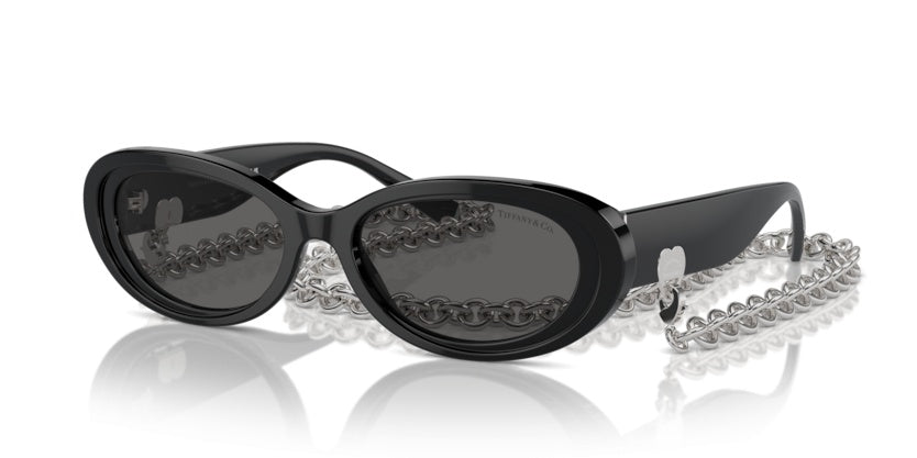 Tiffany&Co TF4221 8001S4 54 17 太阳镜