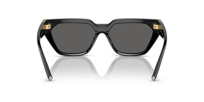 Sonnenbrillen Tiffany&Co TF4205U 8001S4 56 14 — vista 4