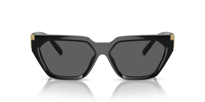 Sonnenbrillen Tiffany&Co TF4205U 8001S4 56 14 — vista 2
