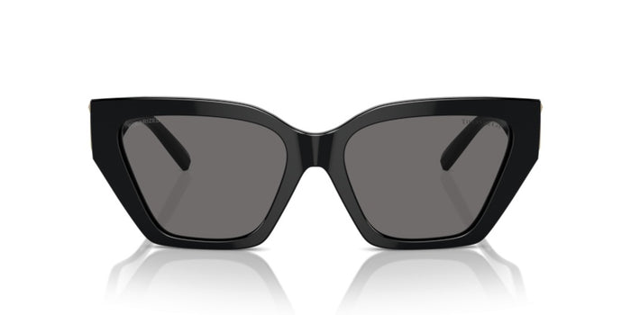 Sunglasses Tiffany&Co TF4218 800181 55 17 — vista 2