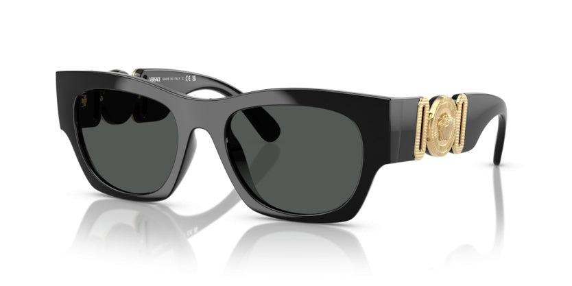 Sunglasses Versace VE4479U GB1/87 52 19