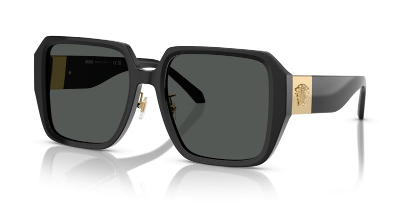 Sonnenbrillen Versace VE4472D GB1/87 56 19