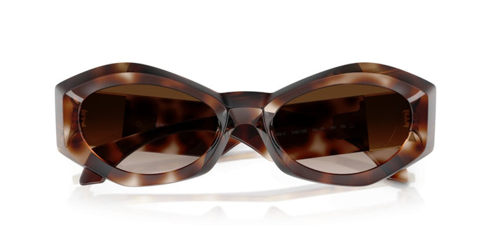 Sonnenbrillen Versace VE4466U 54613B 54 19 — vista 5