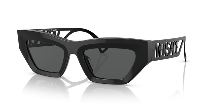 Lunettes de Soleil Versace VE4432U 523287 53 20