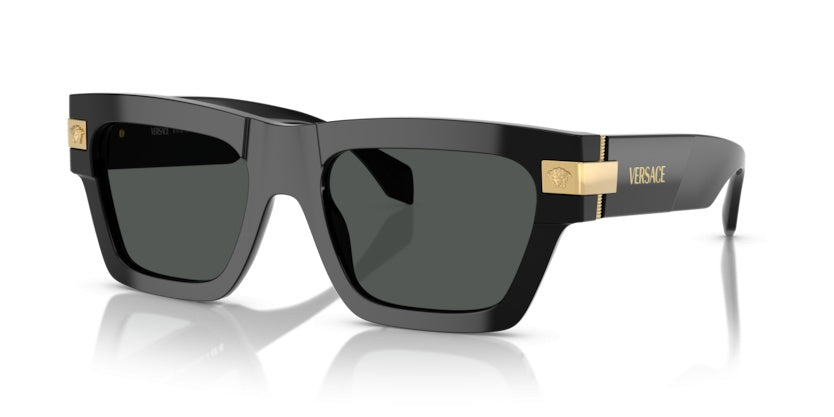 Gafas de Sol Versace VE4464 GB1/87 55 20