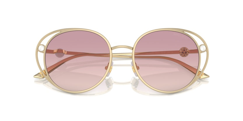 Jimmy Choo JC4003HB Sunglasses