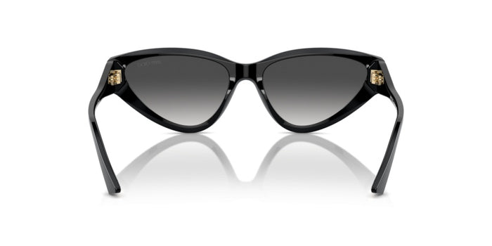 Sonnenbrillen Jimmy Choo JC5019 50008G 55 16 — vista 5