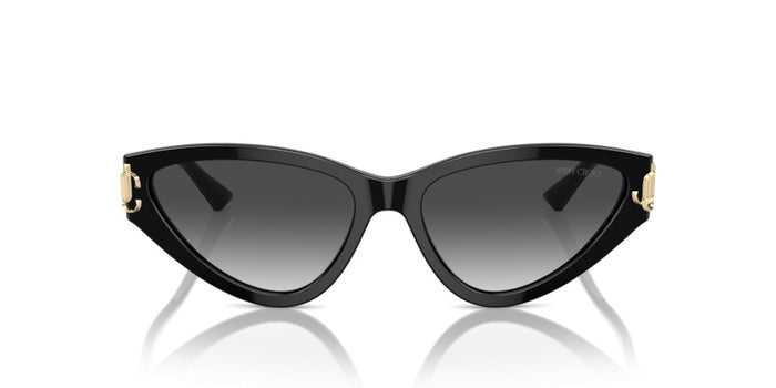 Sonnenbrillen Jimmy Choo JC5019 50008G 55 16 — vista 2