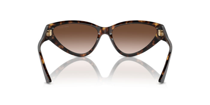 Sonnenbrillen Jimmy Choo JC5019 500213 55 16 — vista 5