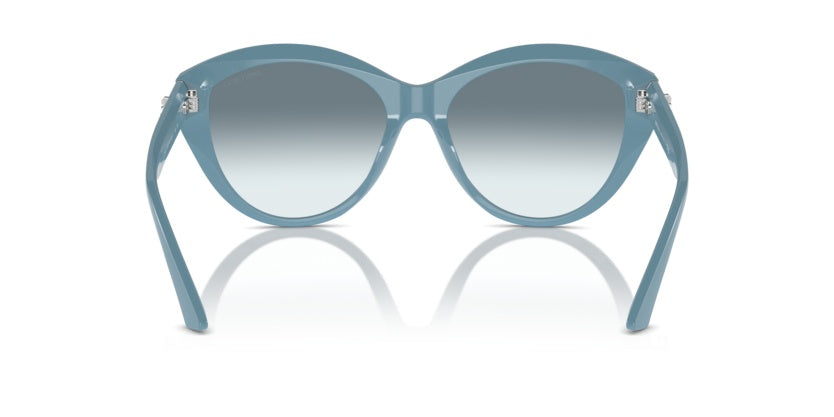 Jimmy Choo Magnified Sunglasses