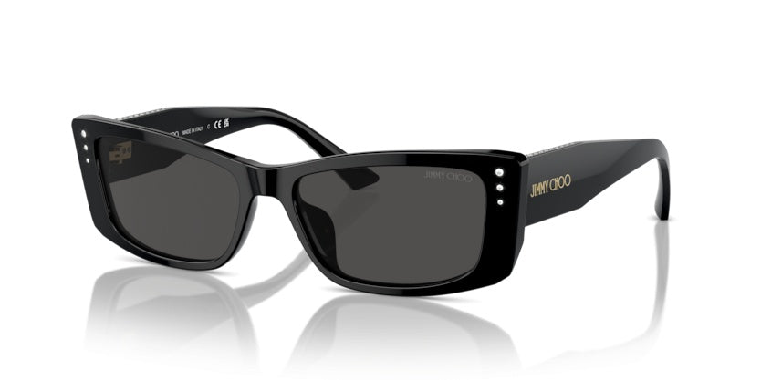 Sonnenbrillen Jimmy Choo Avenue JC5002BU 500087 55 16