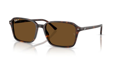 Lunettes de Soleil Ray-Ban Raimond RB2231 902/57 56 18