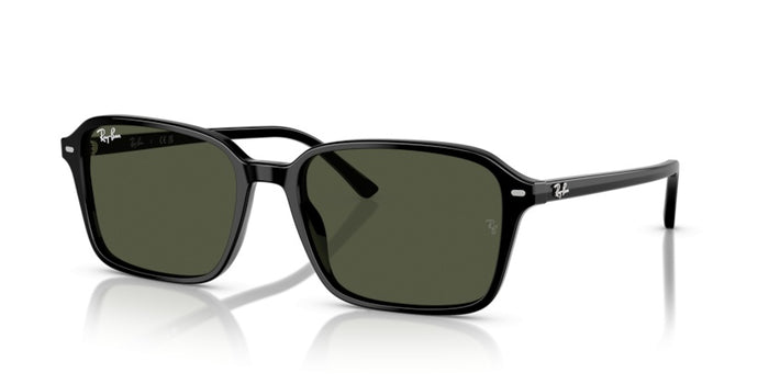 Gafas de Sol Ray-Ban Raimond RB2231 901/31 58 18 — vista 2
