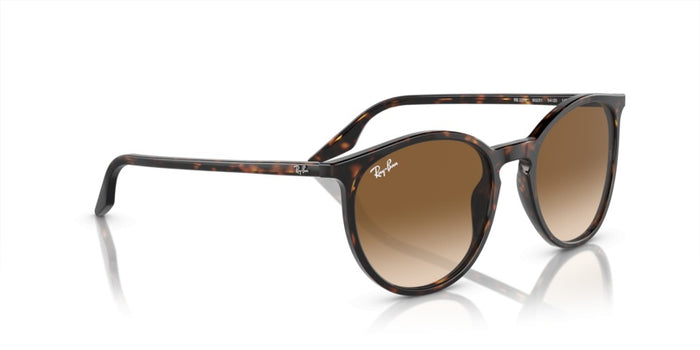 Gafas de Sol Ray-Ban RB2204 902/51 51 20 — vista 5