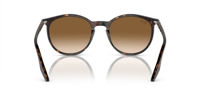 Gafas de Sol Ray-Ban RB2204 902/51 51 20 — vista 6
