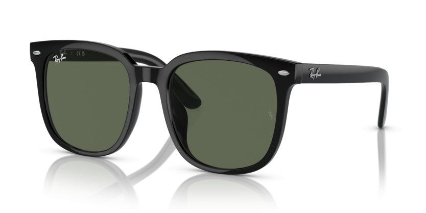 Sonnenbrillen Ray-Ban RB4401D 601/71 57 20